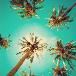 Meet your Posher, Michey